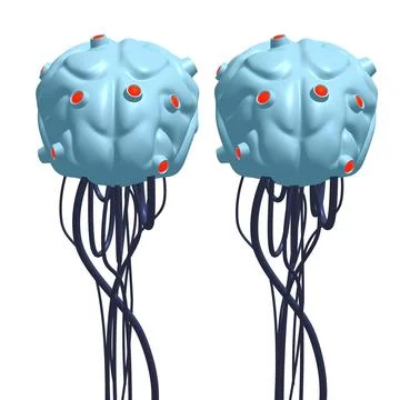 Cyber brain wired neural network. Robotic eternal organ. Cyborg brain 스톡 일러스트