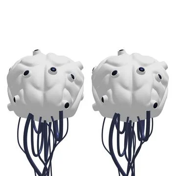 Cyber brain wired neural network. Robotic eternal organ. Cyborg brain Illustrazione stock