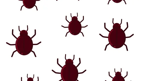 Cyber crime bugs attack pattern animated Vídeos de archivo 154752960