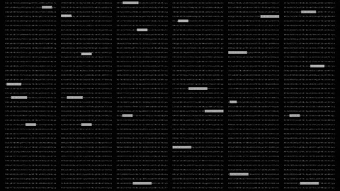 Cyber Crime Computer Hacker Screen Stock-Footage 156068191