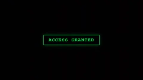 Cyber security access granted and access denied screen Stock Footage 342147719