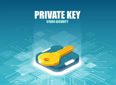 Cyber security and private key concept Stock Illustration