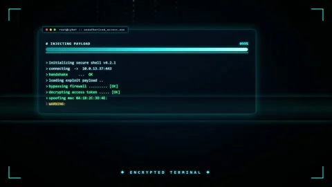 Cyber Security Breach Animation with Access Denied Warning on Digital Computer Stock Footage 345765556