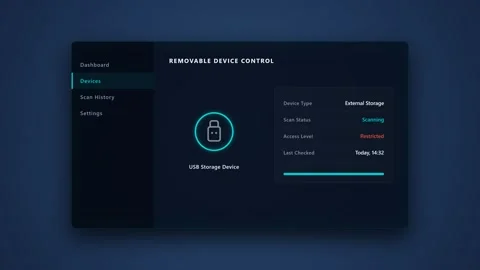 Cyber security interface scanning removable usb storage device. 4K Stock-Footage 342115036
