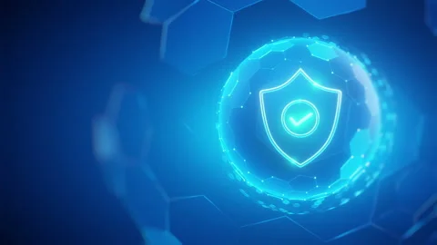 Cyber Security Network Protection Shield Concept Stock Footage 321072199
