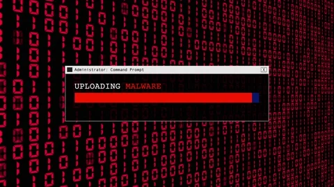 Cyber Security Red Binary Code Hacking Login Abstract Background Concept Stock Footage 231332553