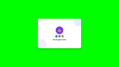 Cyber Security Shield Verification Animation 库存影片 347627111