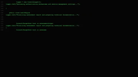 Cyber Security Software Development: C# Code Display for Vulnerability Scanner Stock Footage 339156791