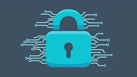 Cyber Security Spyware Protection Padlock Animation Stock Footage 162341996