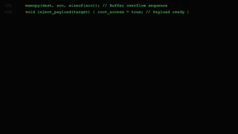 Cyber Security Terminal: Heap Analysis and Memory Buffer Initialization Stock Footage 339156810