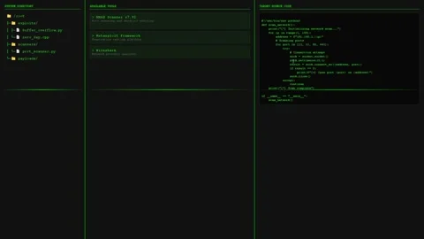 Cyber Security Tools Terminal Live Coding Stock Footage 299807695