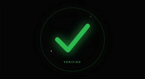 Cyber Security Verified Green Check Mark HUD Animation Vídeos de archivo 335400048
