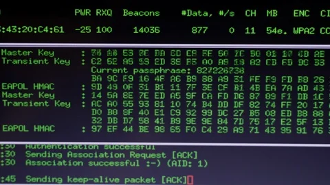 Cyber vulnerabilities Bruteforce password attack Hacking server remote access Stock Footage 125148245