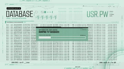 Cybercriminal extracting sensitive information from compromised database Stock Footage 348164124