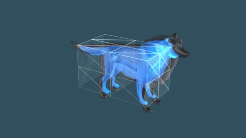 Cybernetic Wolf Imaging in 3D, Futuristic Virtual Animal Surrounded by Digi.. Stock Footage 342245153