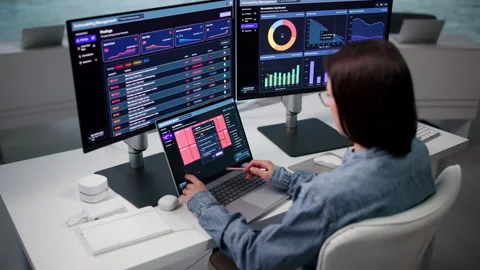 Cybersecurity Analyst Monitors Vulnerabilities While Scanning Network Stock Footage 347304717