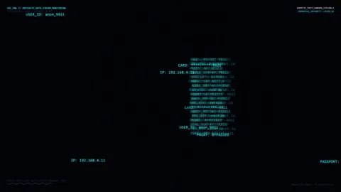 Cybersecurity Concept Animation Showing Data Stream Monitoring and Phishing Vídeos de archivo 344232941