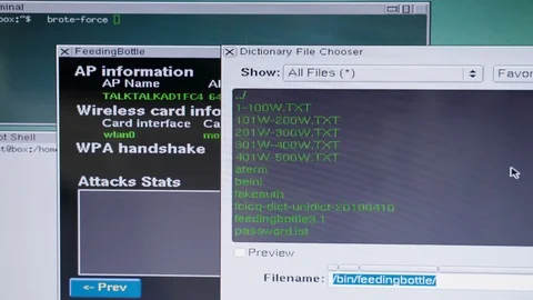 Cybersecurity cybercrime concept. Hacking attack using server vulnerabilities 4K Stock Footage 124643984