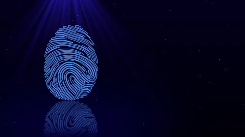 Cybersecurity Data Security, Fingerprint Scanner 3D Biometric Digital Stock Footage 345640024