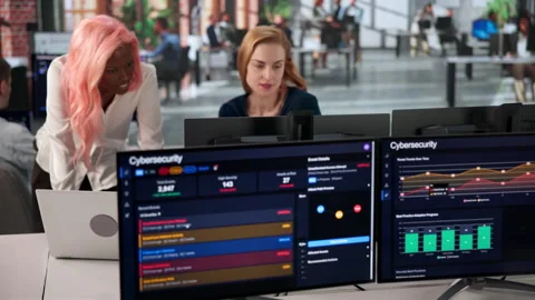 Cybersecurity Engineer Closely Monitors Computer System Dashboard Stock Footage 333841553