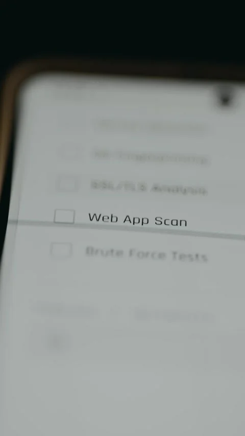 Cybersecurity interface enabling authentication vulnerability resistance Stock Footage 333382209