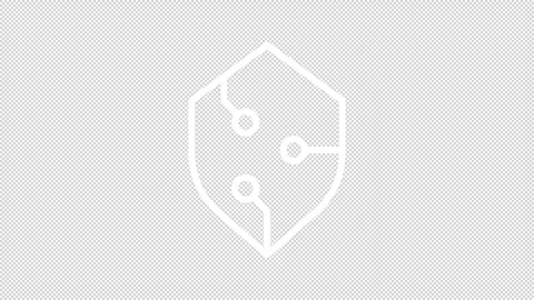 Cybersecurity ui icons white line animation set Stock Footage 325399686
