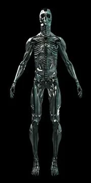 Cyborg Human Skeleton Android 3D Stock Illustration