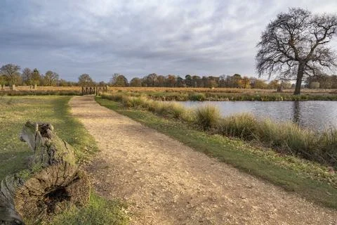 Cycle and walking path around ponds at Bushy Park Stock Photos