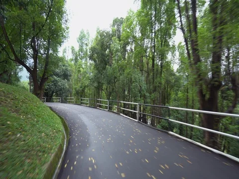 Cycle Downhill POV Video stock 78649815