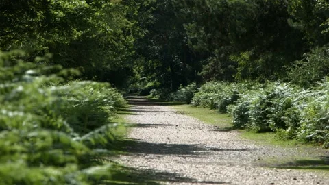 Cycle path 2 Video stock 133450491