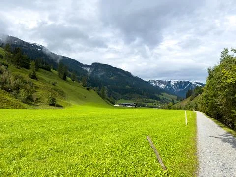 Cycle path along alpine meadow Stock Photos