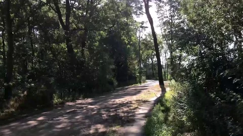 Cycle path along the border between the two countries. Straight ahead into Germa 動画素材 113481460