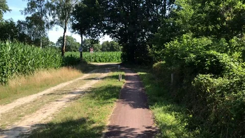Cycle path along the border between the two countries. Field of maize in Germany 動画素材 113545014