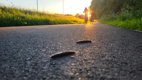 Cycle path and cyclists Stock Photos