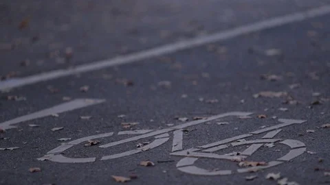 Picture Path Stock Videos – Royalty-Free HD & 4K Videos | Pond5