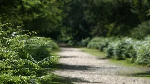Cycle path Video stock 133450565