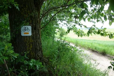 Cycle path sign on a thick trunk Stock Photos