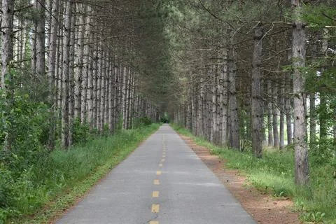 The cycle path in summer Stock Photos