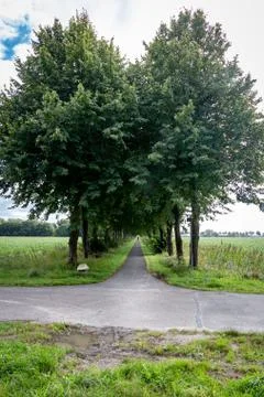 Cycle path through the trees Stock Photos