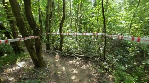 Cycle track in the first person Stock Footage 54990961