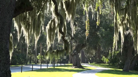 Cycle trail, jekyll island, ga, usa 库存影片 45282045