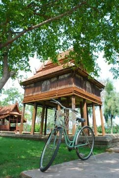 Cycle under tree Stock Photos