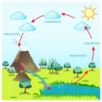 Cycle water in nature environment. Illustrazione stock