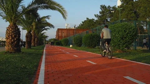 Cycler rides on an orange bicycle path beside palm at sunset on seashore Stock Footage 117438064