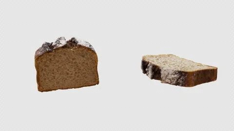 Cyclic rotation of two types of loaf cake around their axis. Alpha channel. Stock Footage 314043655