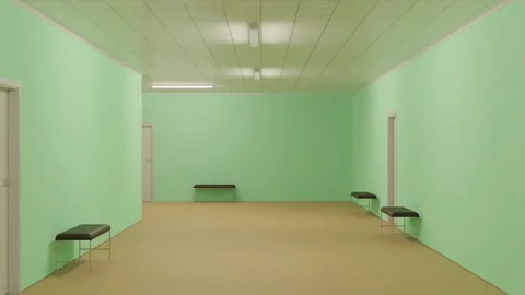 Cyclic seamless passage along the corridor of a hospital, clinic, tax or other Stock Footage 238669571