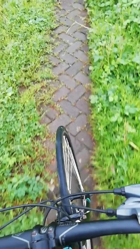 Cycling across the beautiful river Stock Footage 231284366