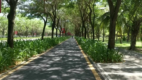 Cycling along cycle path in park Stock Footage 160977534