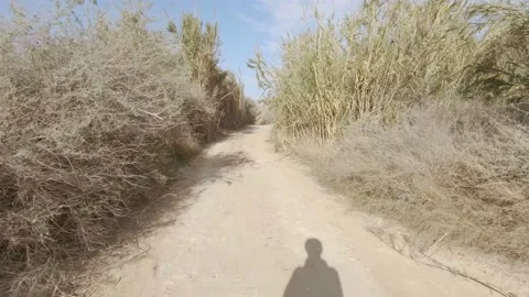 Cycling along the paths through withered reeds, first-person view Stock-Footage 168127020