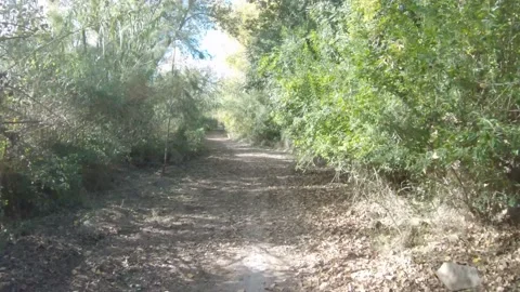 Cycling along the paths through withered reeds, first-person view Stock Footage 172378622
